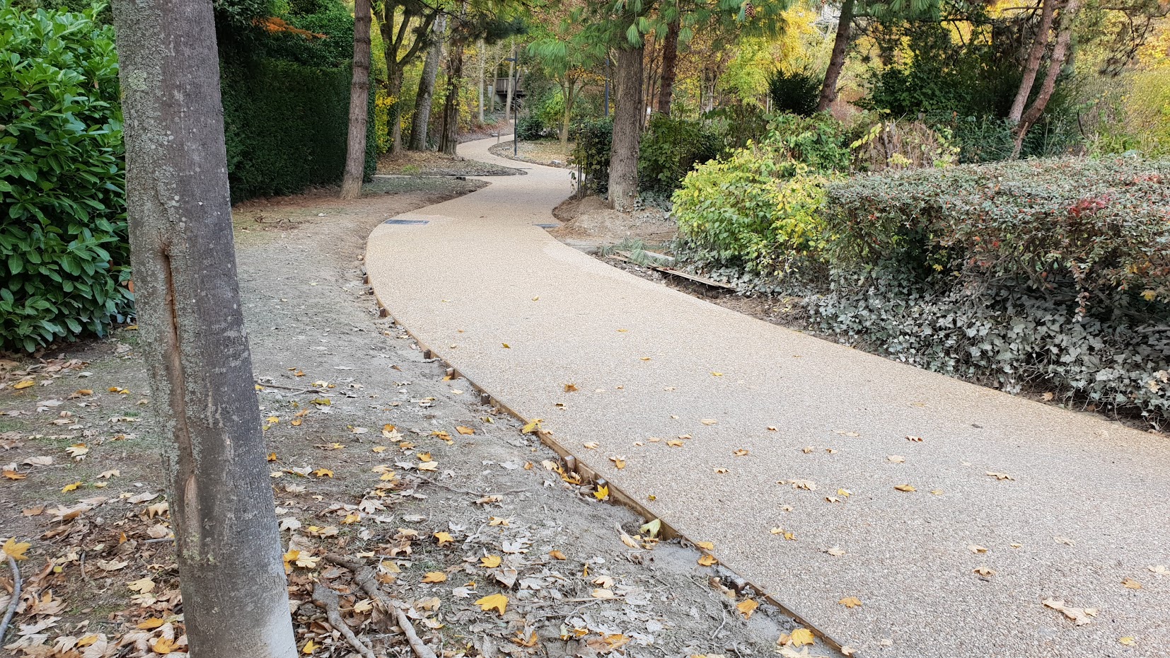 20181109_150141