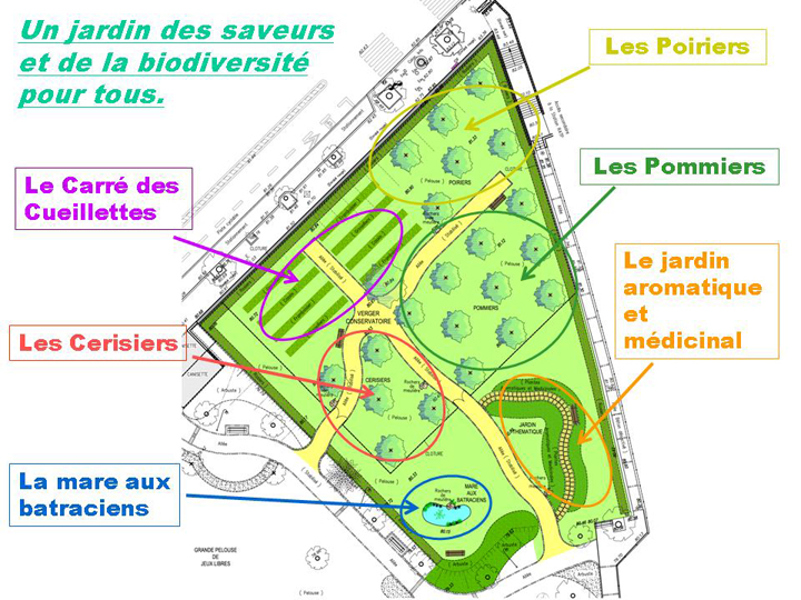 Plan_amenagement_22_av_Lombart