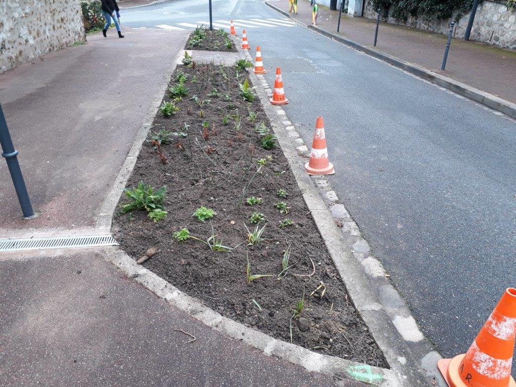 Jardin_de_pluie
