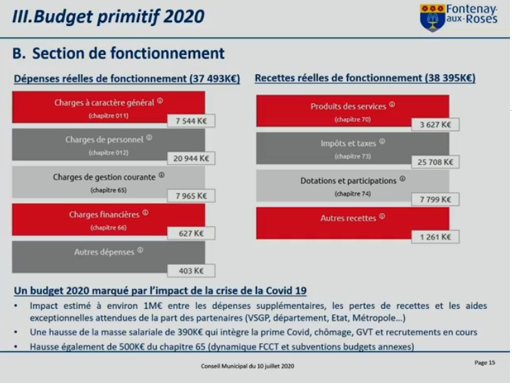 CM_10_Juillet_2020_Budget_Primitif_2020_2